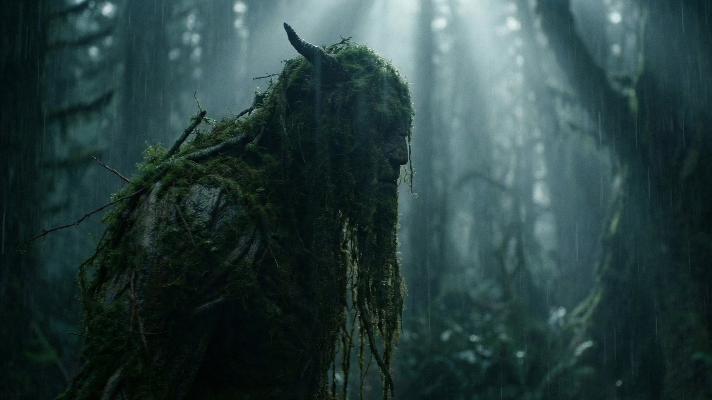 Showreel для сайта "Культурный кот"