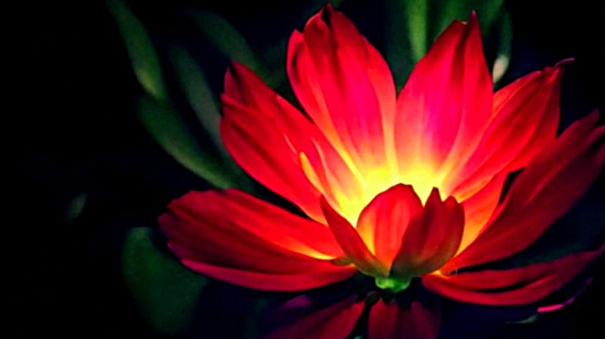 Цветочек Аленький