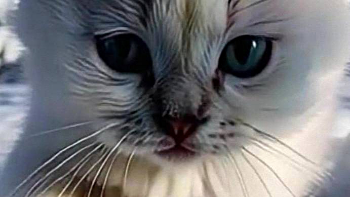 Зимняя прогулка