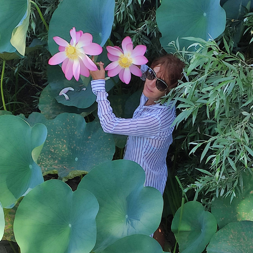 Generic placeholder image