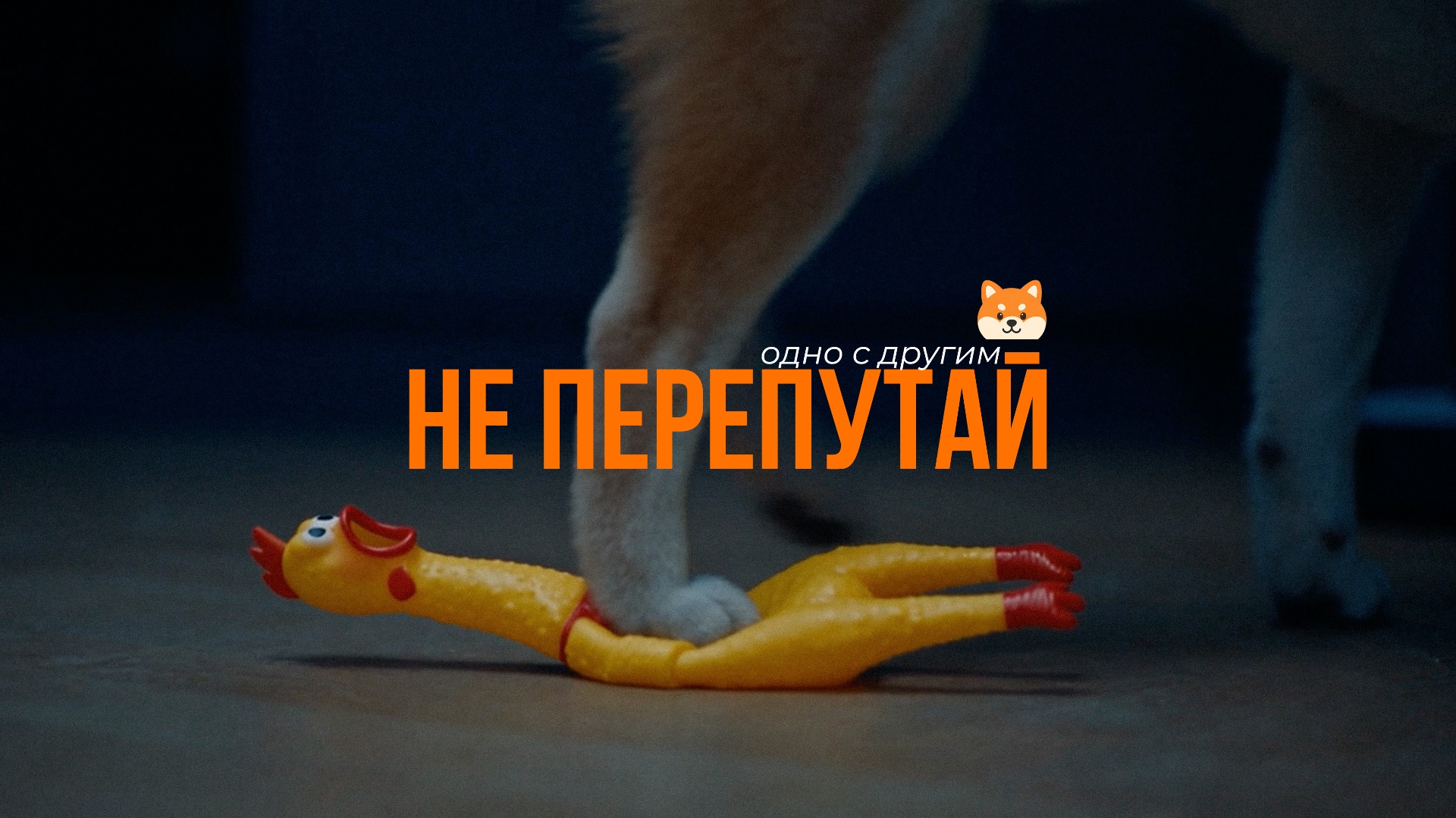 «Не перепутай»