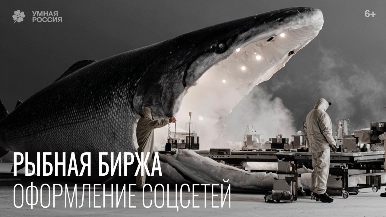 Соцсети "Рыбная биржа России"